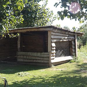 Shelter in the Emu, Eastern grey Kangaroo, Red kangaroo and Swamp wallaby walk-through exhibit, 2024-09-17