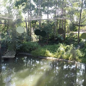 Saddle-billed stork aviary next to the African stilt village, 2024-09-17