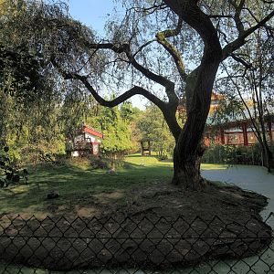 Common hog deer, White-naped crane and Magellanic flightless steamer duck exhibit, 2024-09-17