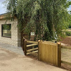 Updated Giant Tortoise housing, CWP, UK