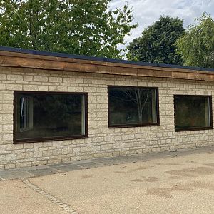 Updated Giant Tortoise housing, CWP, UK