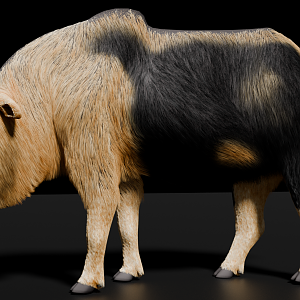 Sichuan Takin - Satoresque style