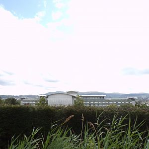 View from bottom of Budongo Trail 18.7.25