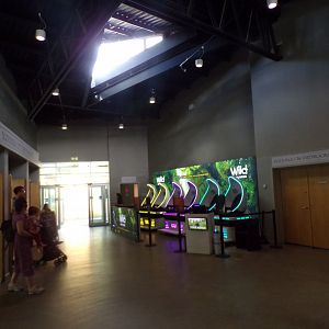 View of new VR area in Budongo Trail 18.7.25