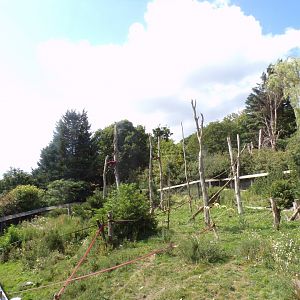 View of Western side of living links 18.7.25