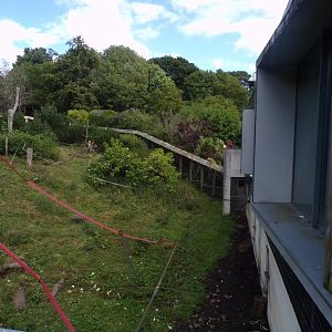 View of Living Links outdoor area east 18.7.25