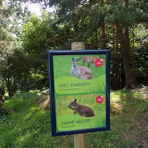 New signs in wallaby area 18.7.25