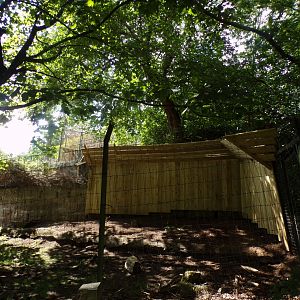 New barriers in markhor area 18.7.25