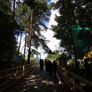Path coming up to new sloth bear enclosure 18.7.25
