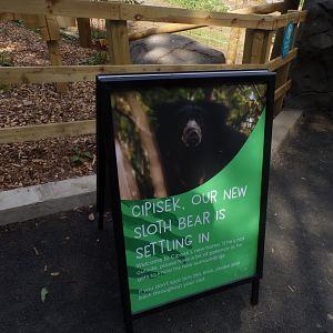 Sign about new sloth bear 18.7.25