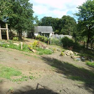New sloth bear enclosure 18.7.25