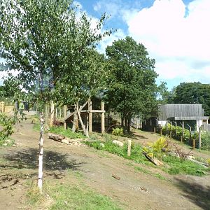 New sloth bear enclosure 18.7.25