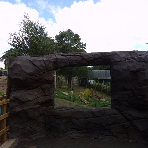 Mock rock viewing area for sloth bears 18.7.25