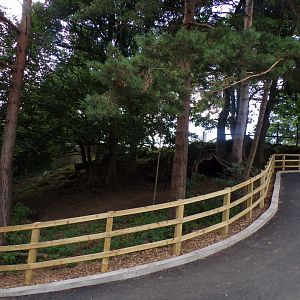 Former nyala enclosure (fencing removed) 18.7.25