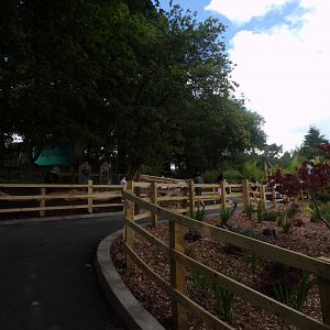 New path around sloth bear enclosure 18.7.25