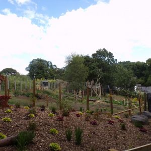 New sloth bear enclosure 18.7.25