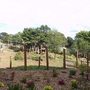 New sloth bear enclosure 18.7.25