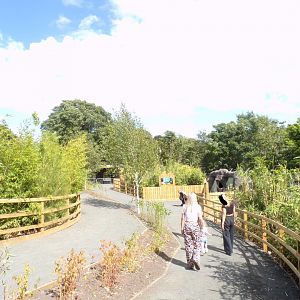 Path down to sloth bear viewing 18.7.25