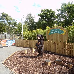 New sloth bear sculpture 18.7.25