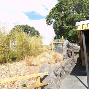 Other sloth bear enclosure and viewing (still closed off) 18.7.25