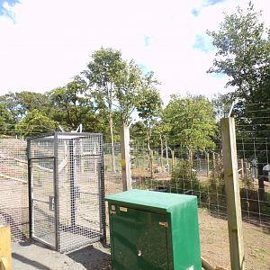 View of holding areas on other sloth bear enclosure 18.7.25