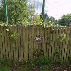 Don’t look here 18.7.25