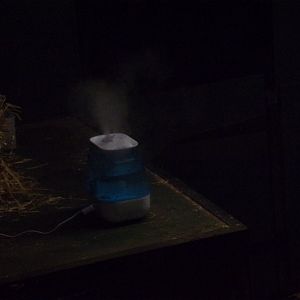 Humidifier in giant anteater indoors 18.7.25