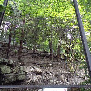 Former wolf enclosure 9.7.25