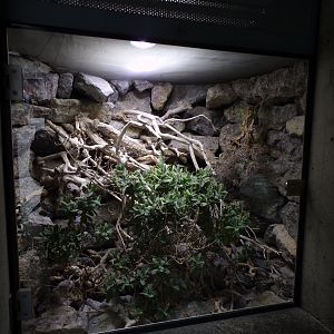Adder enclosure 9.7.25
