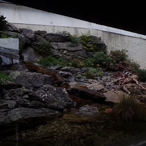 Adder enclosure 9.7.25