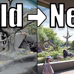 Tropical Forests FULL TOUR - The Virtual Zoo on YouTube