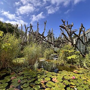 ORANGerie Outdoor Exhibit