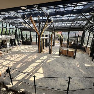 Giraffe Indoor Exhibit