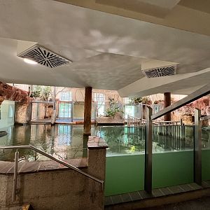 Hippopotamus Indoor Exhibit