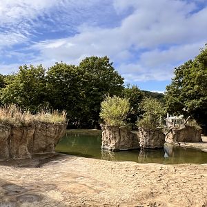 Hippopotamus Outdoor Exhibit