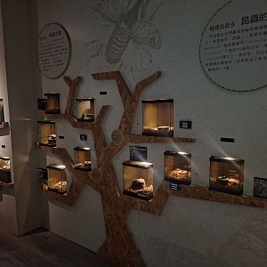 Taiwan Insect Museum- Entry Wall of Terrariums