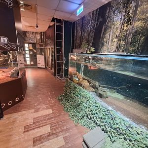 Taiwan Insect Museum- Herp Enclosures
