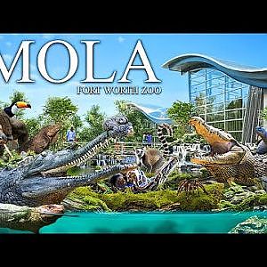 M.O.L.A. (Museum of Living Art) - Zoo Tours