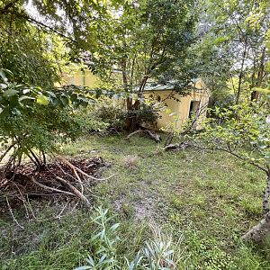 Kirk's Dik-Dik Exhibit
