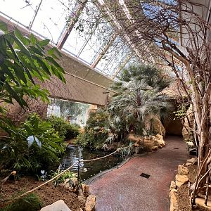 Birdhouse- African Walk-Through