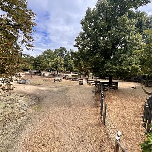 Indian Rhinoceros Exhibit