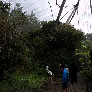 Mixed walkthrough aviary 9.7.25