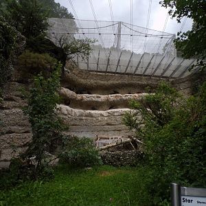 Mixed walkthrough aviary 9.7.25