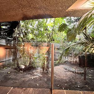 Morelet's Crocodile Exhibit