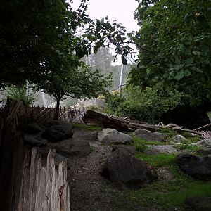 Domestic goat enclosure 9.7.25