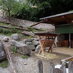 Domestic goat enclosure (and access to top of the barn) 9.7.25