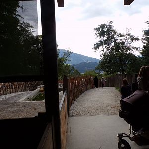 View of farm area (chickens can freeroam here) 9.7.25