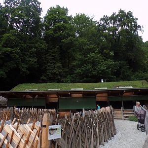 View of farm barn (goats can climb on the roof!) 9.7.25