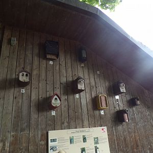 Wild bird housing 9.7.25