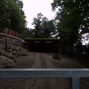 European wisent enclosure 9.7.25